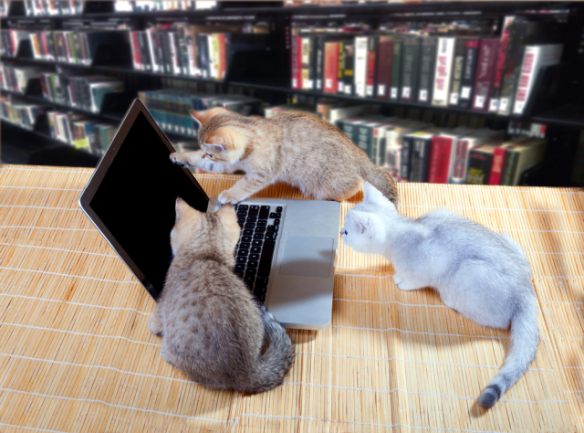 怎么用手机键盘打出一只猫,键盘按键显示一只猫