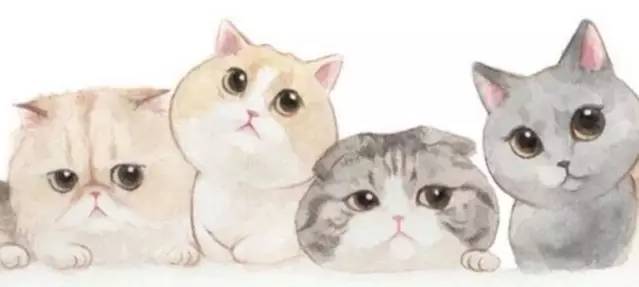 分享|我喜欢你啊,却用友情开错了头!