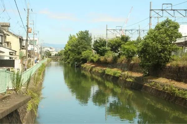 说好的逛吃逛吃，但我真的走不动了