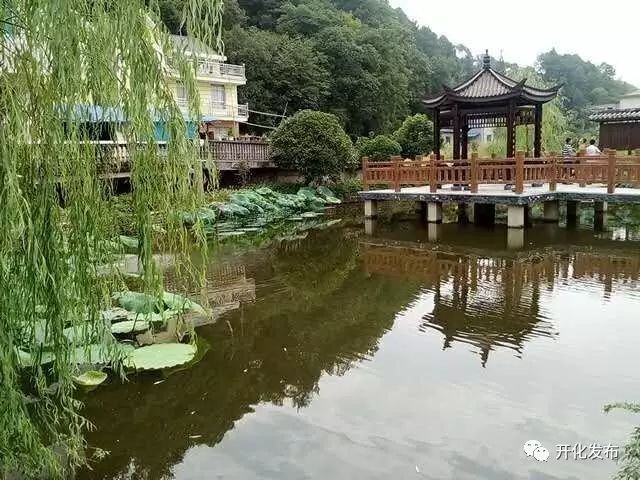 369“美加净”丨开化昌谷村扮靓村庄有妙招~