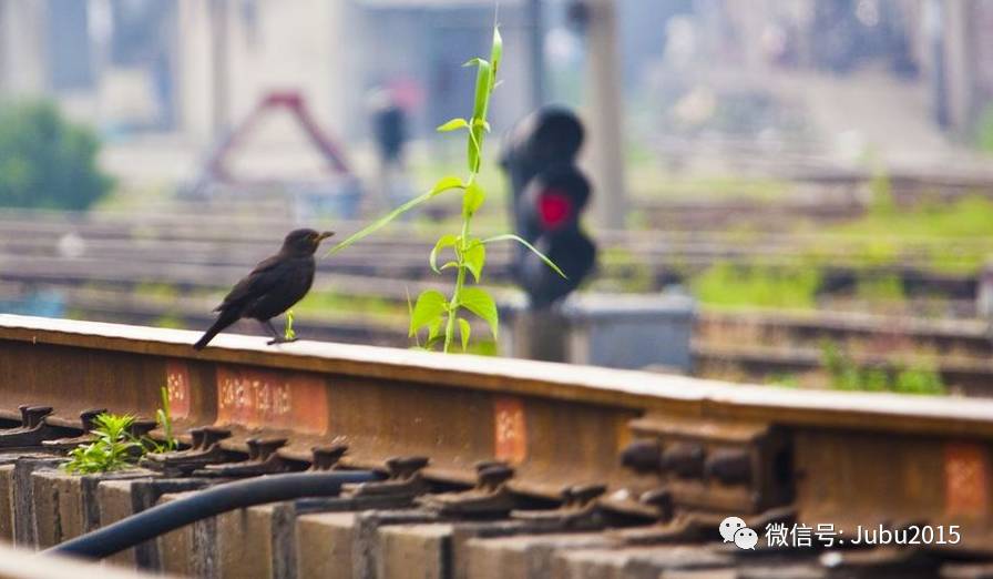 半个月总结与心得怎么写,做微店需要注意哪些问题