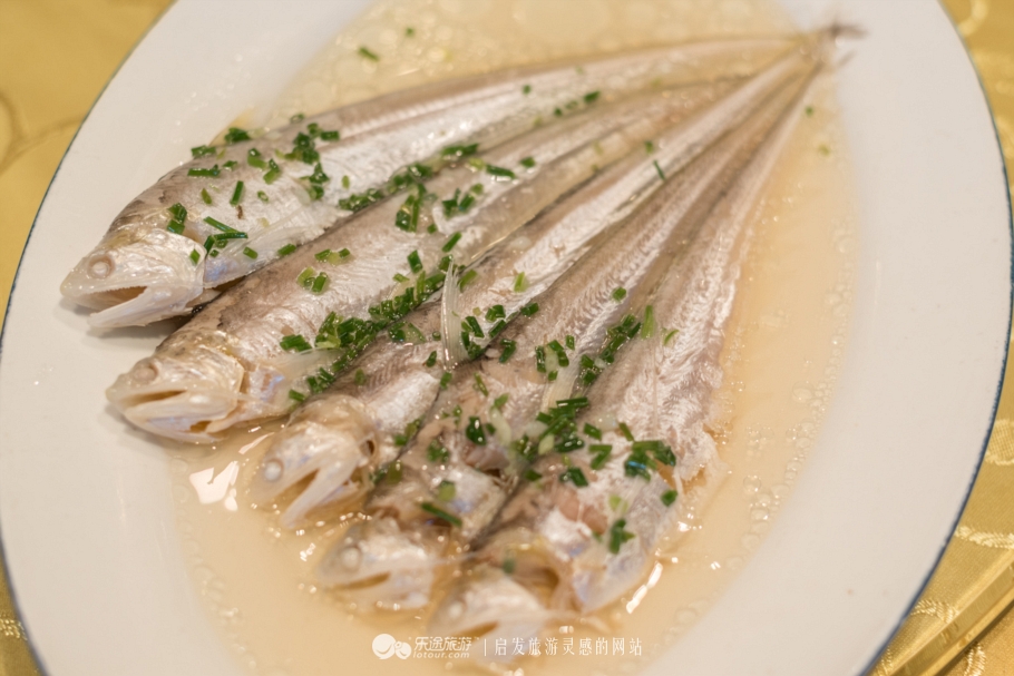 百年前的富人旅游影像,百年前富人区