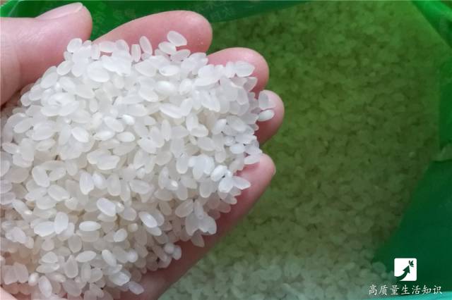 如何识别陈米和新米,陈米和新米的区别视频