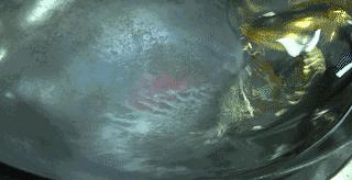 带出过米其林餐厅的中餐总厨搭上全球精挑食材，这间餐厅就是要给你至尊口感