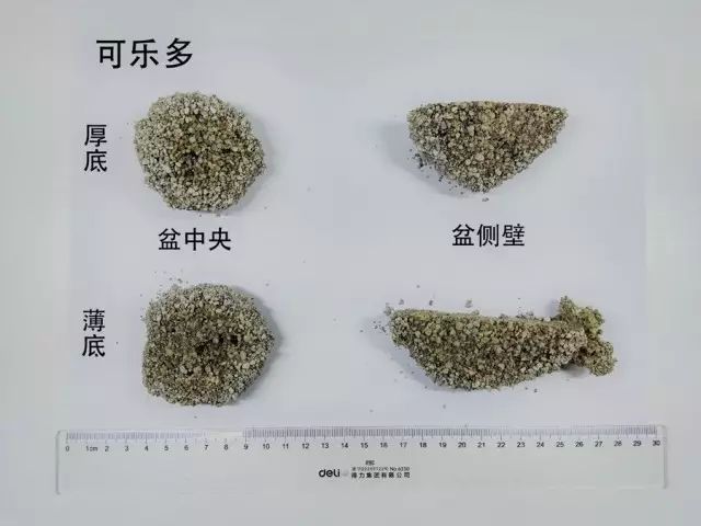 便宜好用膨润土,松木很不好吗