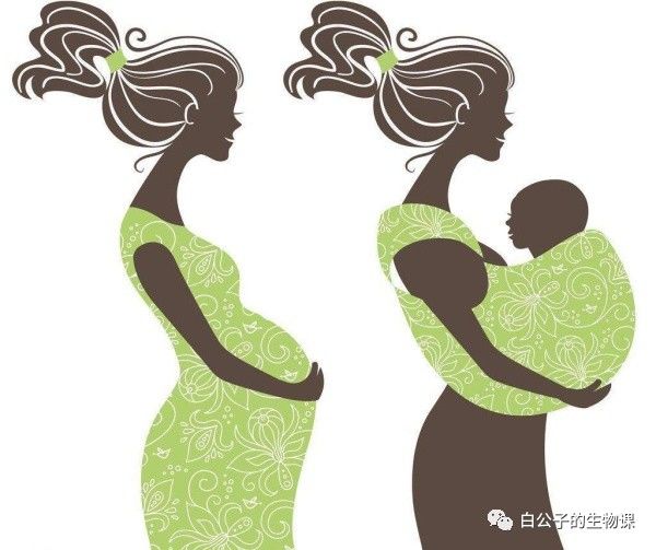 怀孕期间不小心摔倒会不会流产,怀孕摔了一跤有点痛会不会流产