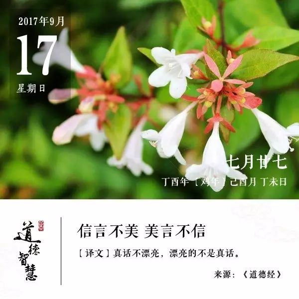 保洁西施打扫卫生,保洁西施视频