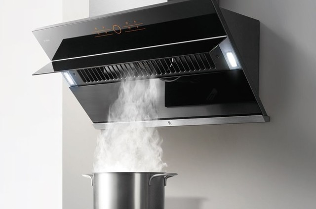 吸油烟机哪个牌子的好性价比高,什么牌子的顶侧双吸油烟机好
