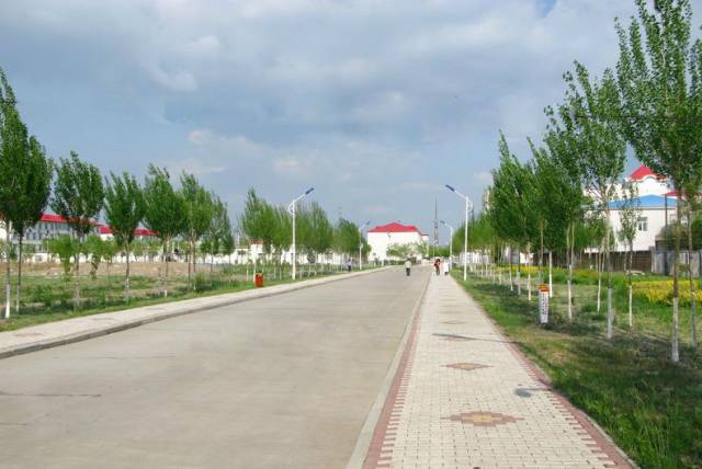 黑龙江新增试点大学,黑龙江省教育厅公示大学名单