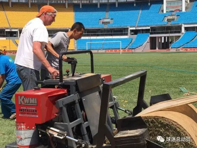 文明观赛有那么难吗,文明观赛文明庆祝