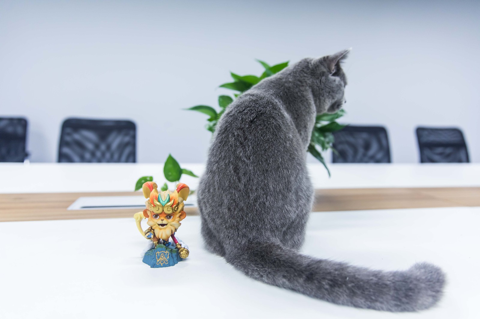 bwfc悟空手办开箱,普通悟空可动人偶手办开箱