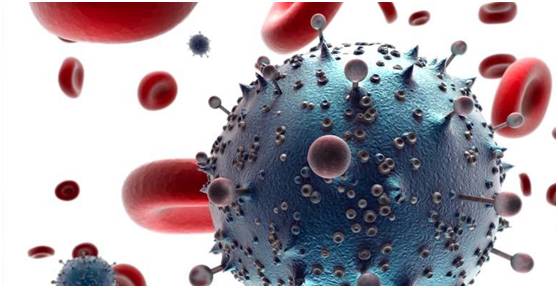 2023科技成就热点,科技大奖秘诀