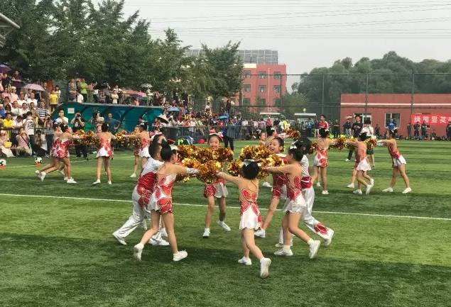 海淀区小学足球联赛2024,2017年海淀区校园足球学区联赛