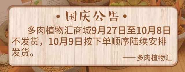 只有见过韩国肉友的阳台,才知道什么叫做物尽其用!