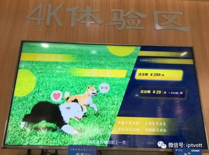 上海电信iptvvlan设置,上海电信iptv中央5台