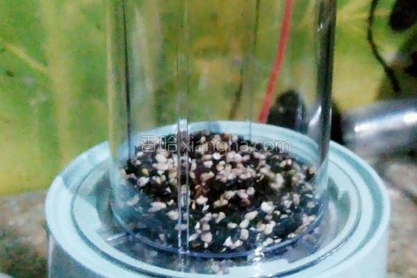 自制五谷营养糊粉,自制五谷养生配方