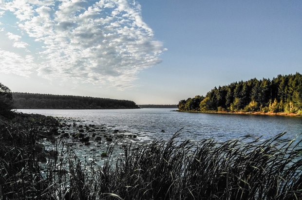 骐达真实用车感受,新骐达2000公里油耗降不下来了