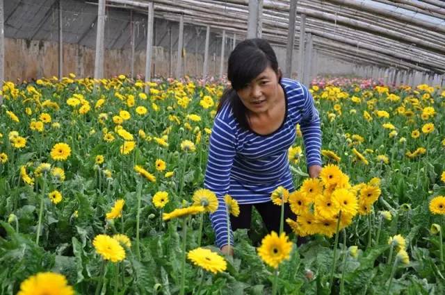 喜迎十九大齐鲁女性在行动临沂篇,喜迎十九大山东临沂