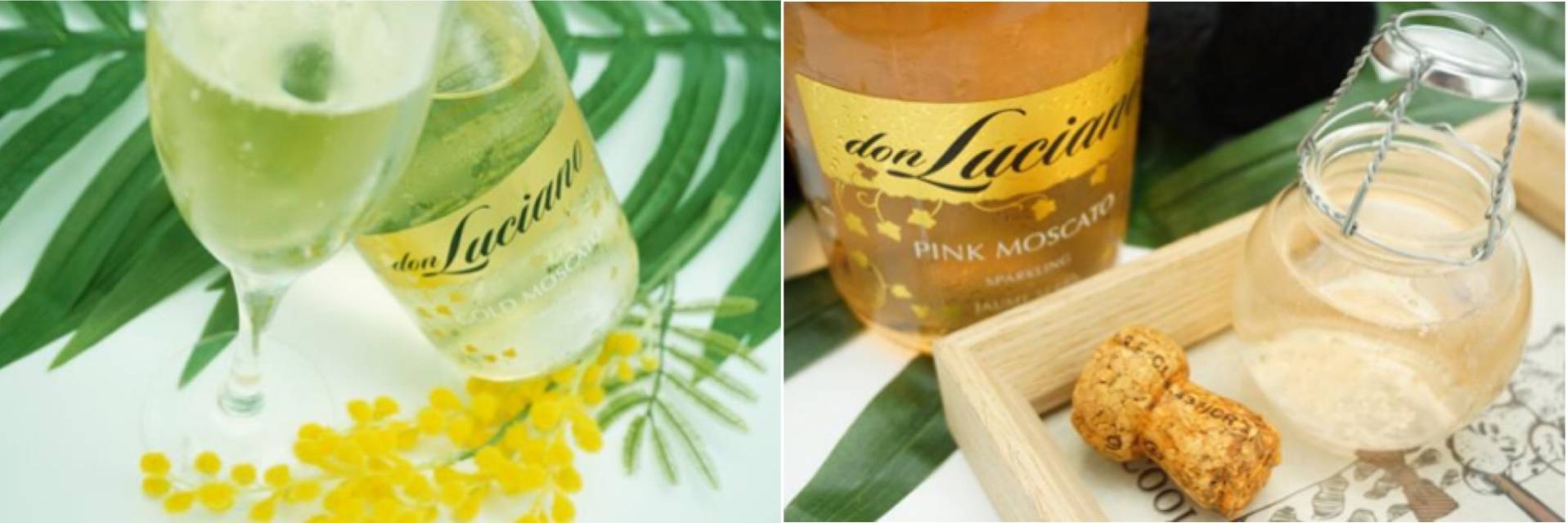 100多起泡酒推荐,100元的大牌起泡酒