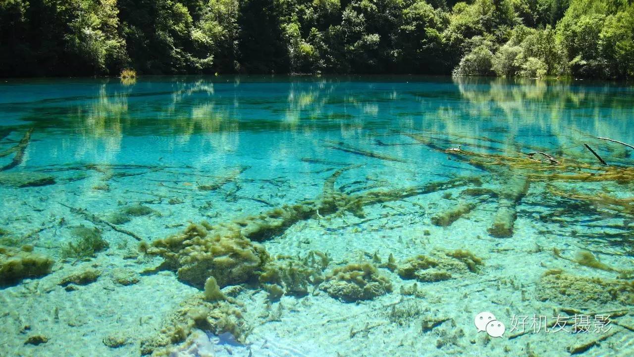 九寨沟黄龙峨眉山乐山自由行攻略,九寨沟旅游攻略及自由行景点介绍