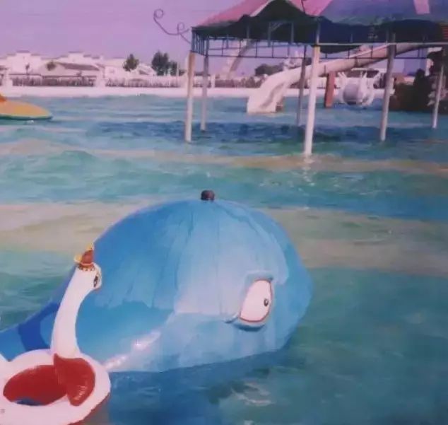 南京有玄武湖区吗,南京玄武湖有多少人