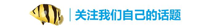 新手金龙如何饲养,金龙锁框