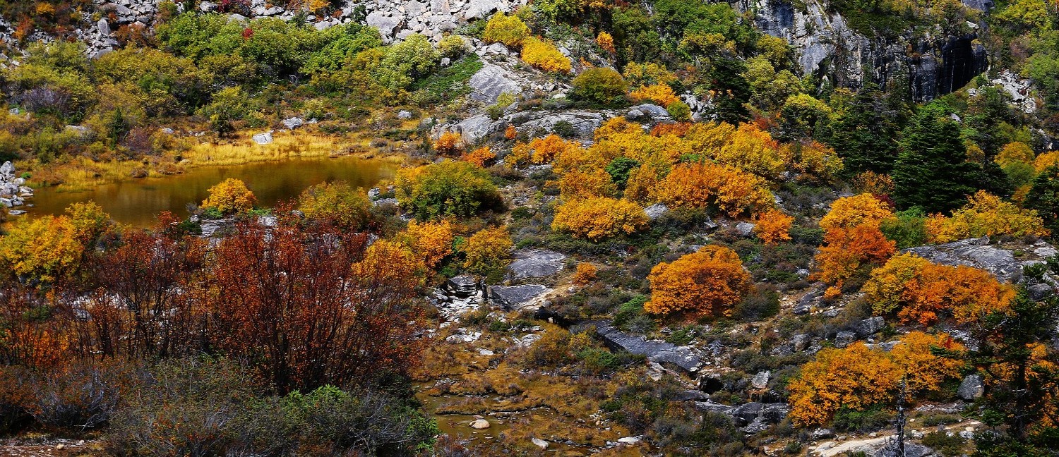 艾润活力氧使用寿命,艾润活力氧的危害