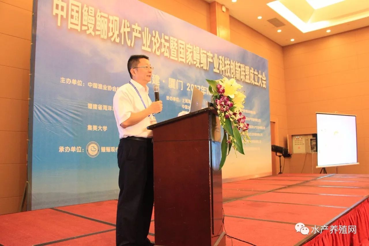 一半以上鳗鱼靠出口，被誉为“水产领域研究最后的一个大金矿”，繁华背后却有隐患