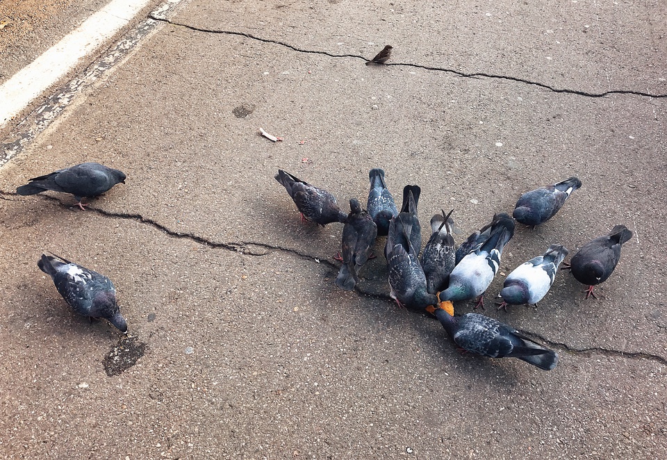 豆瓣日记:几乎所有人都说我是疯了才会坐火车去俄罗斯