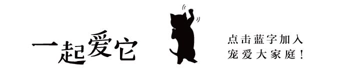 瀹犵埍鏁呬簨,瀹犵埍鏁呬簨灏忚鏍″洯