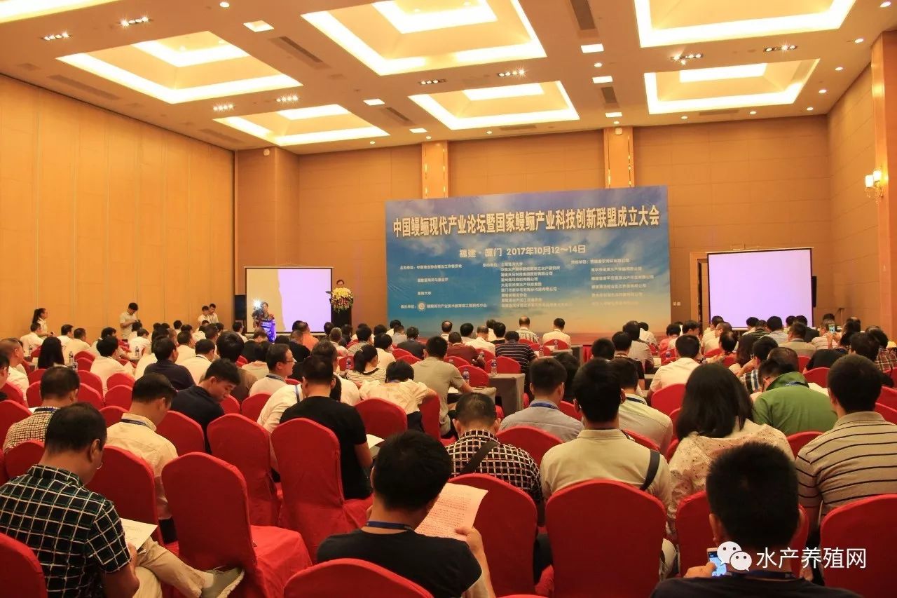 一半以上鳗鱼靠出口，被誉为“水产领域研究最后的一个大金矿”，繁华背后却有隐患