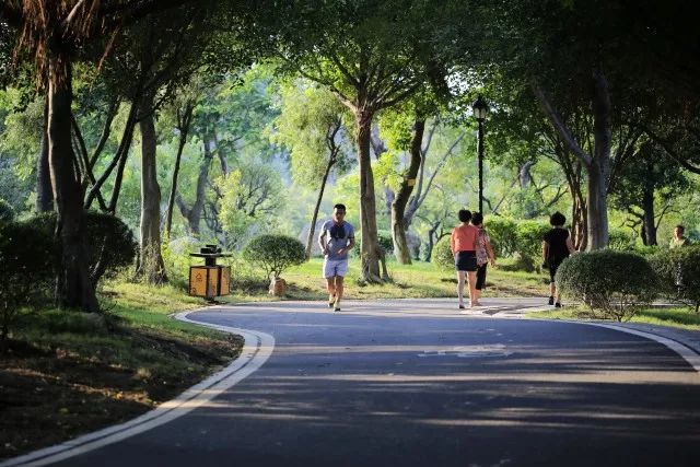 从“一双鞋”到“一座城”，晋江体育产业究竟有几个亿