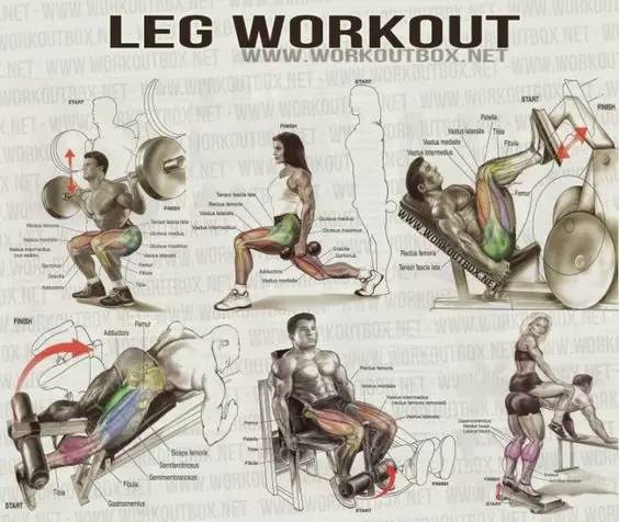 撸铁动作图解大全,健身训练八大经典动作健身干货