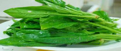 山东省淄博这个地方怎样,淄博第一个地级市