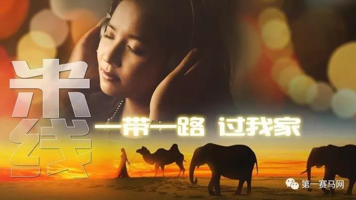 世界级马主郎林出资助力征战东京奥运！为何是莱德马业？