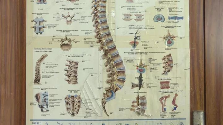 14男孩腰痛是怎么回事,十四岁小孩腰痛怎么回事