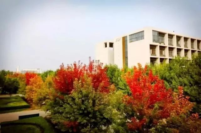 又是一年辅修季，嘘，天财学子已沉迷学习，请勿打搅