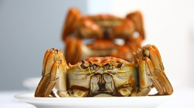 宁波螃蟹哪里吃,宁波蟹鲜活