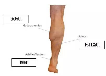 日本小姐姐为什么这么好看,日本小姐姐为什么腿粗