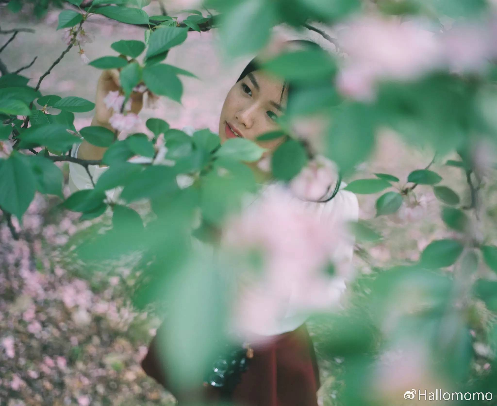 中画幅胶片机推荐,有哪些值得买的胶片机