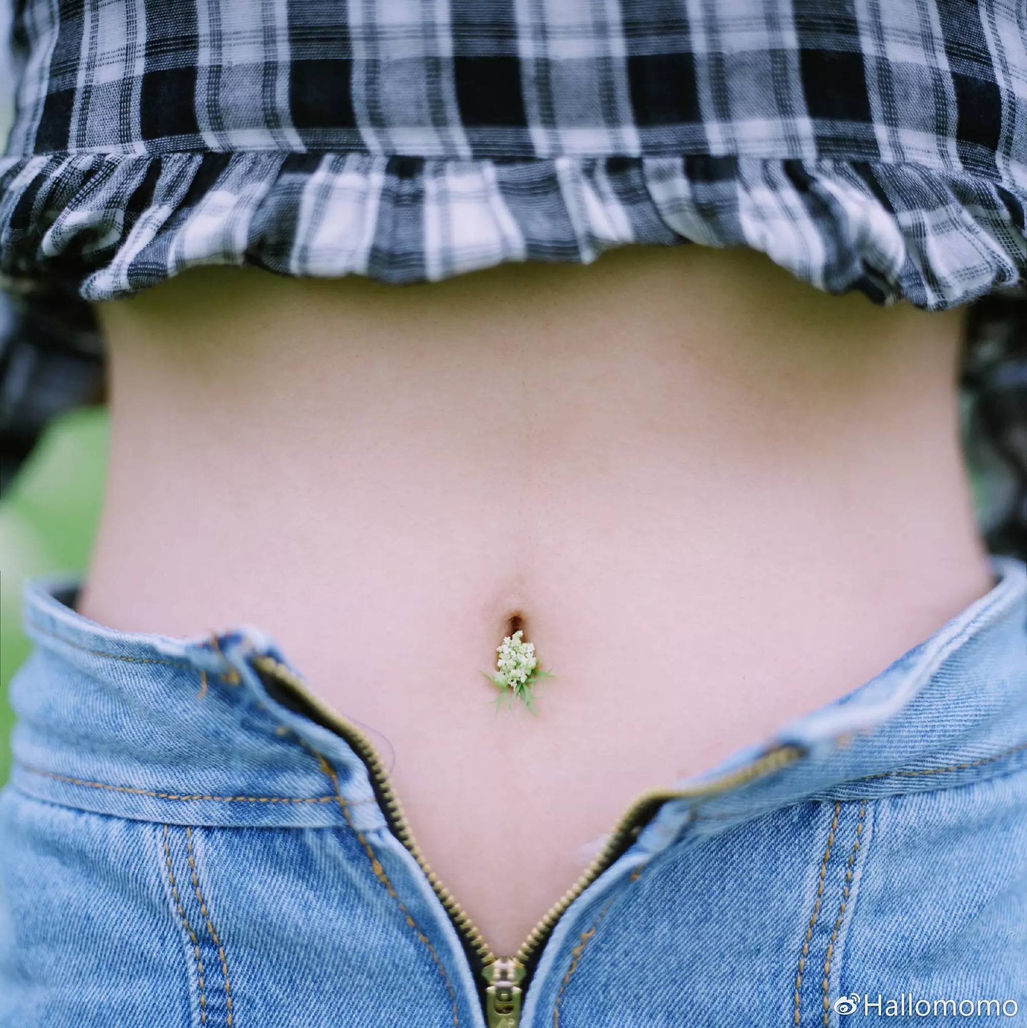 中画幅胶片机推荐,有哪些值得买的胶片机