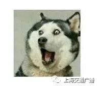 驾驶证副证有用吗,营业执照副证丢了怎么办