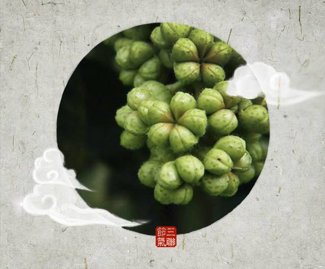 佳节又重阳惟愿幸福安康,重阳佳节幸福久久