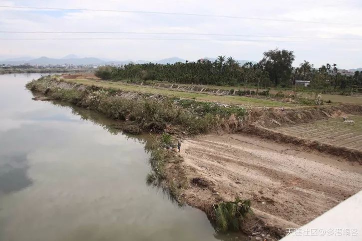 黄道婆崖州,黄道婆是崖州人吗