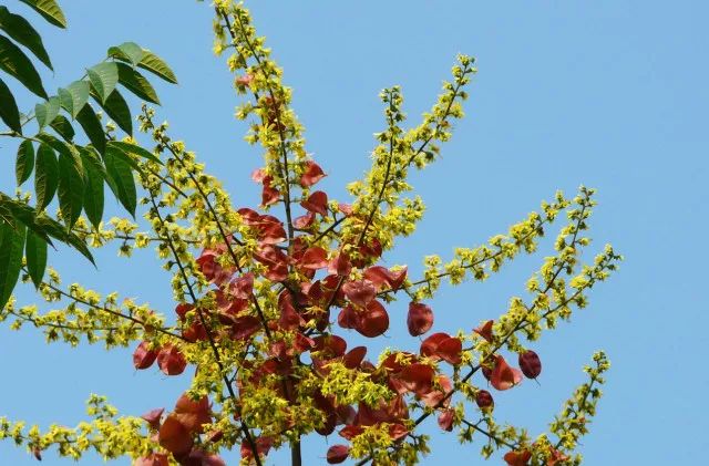 又是一年中秋月恰逢团圆好时节,又是一年中秋团圆时