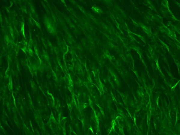 微整形安全与风险解析,脸部微整形有什么风险