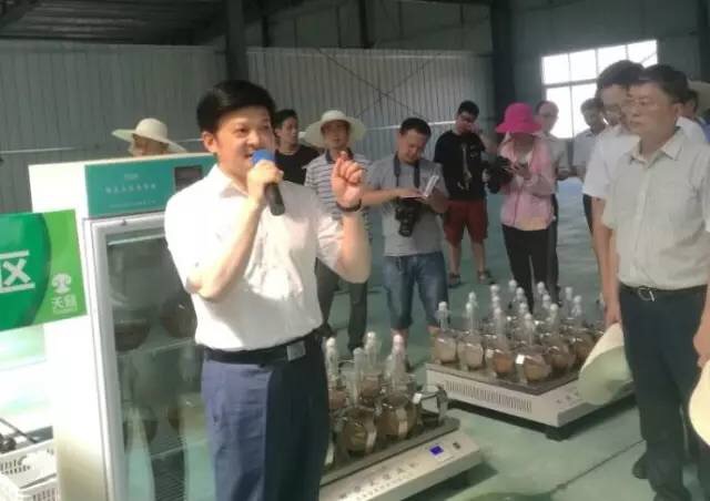 湖北gdp第三季度各市,湖北省荆门市上半年gdp2020