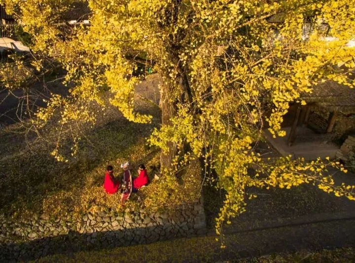 这是一份打开“楠溪江之秋”调色板的攻略！请收下！