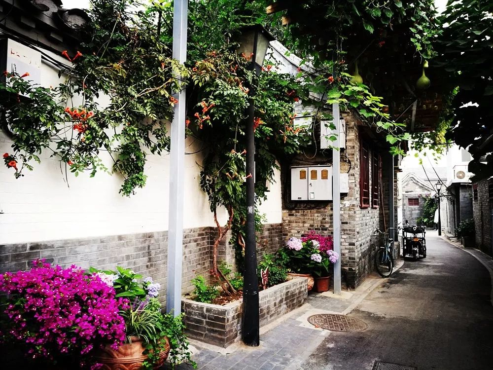 百花深处笛子版,百花深处