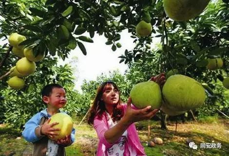 国庆小长假去哪里玩同安,国庆同安旅游攻略